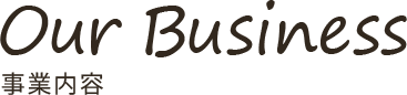 Our Business